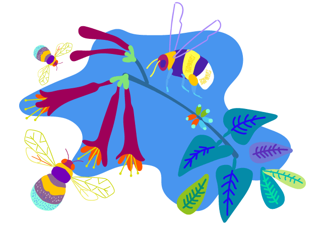 Bees Pollinating Flowers